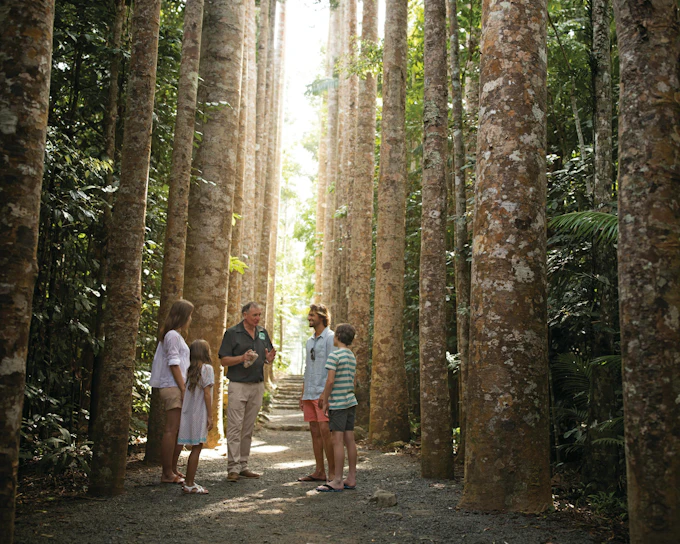 Paronella Park Cassowary Coast Guided Day and Night Tour