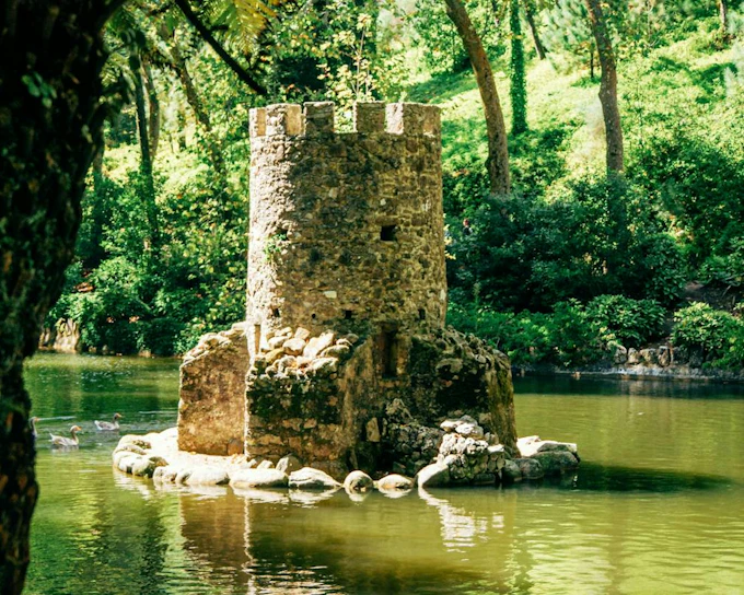 Private Half-Day Sintra Tour from Lisbon with Pena Palace Ticket