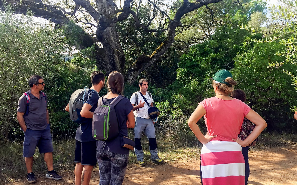 Group listening to guide during hike at Arrábida Natural Park.