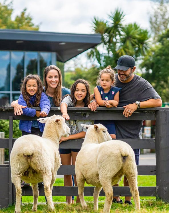 Family petting sheep at Agrodome.