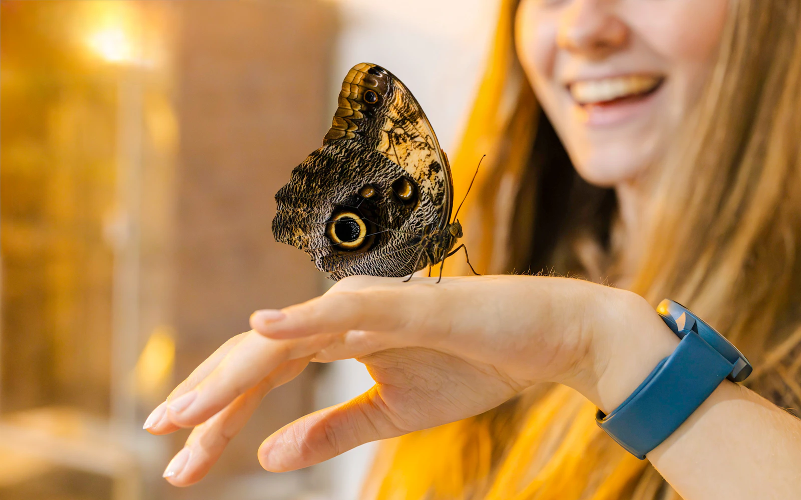Museum of Living Butterflies Zakopane Tickets (Product 53714)
