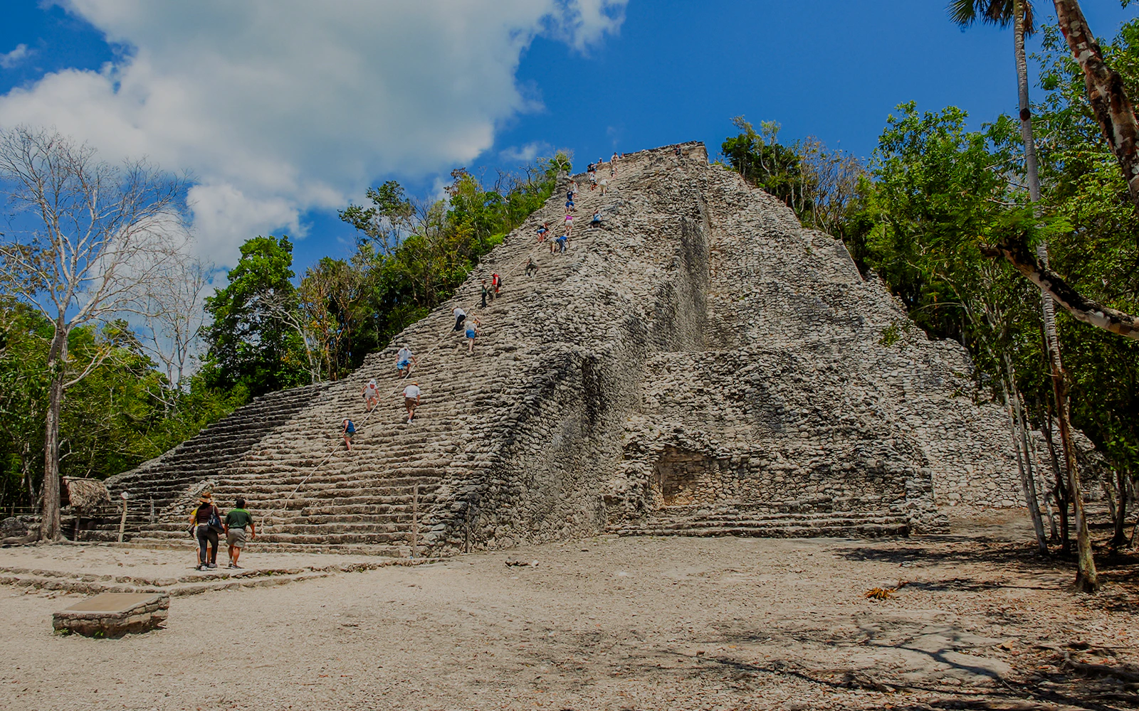 People climbing the ancient pyramid of Coba in Mexico surrounded by trees.
