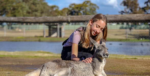 Favoritos das férias escolares em Sydney