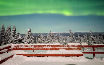 Northern Lights over snowy trees and wooden deck at Aurora Borealis Viewing Lodge, Alaska.