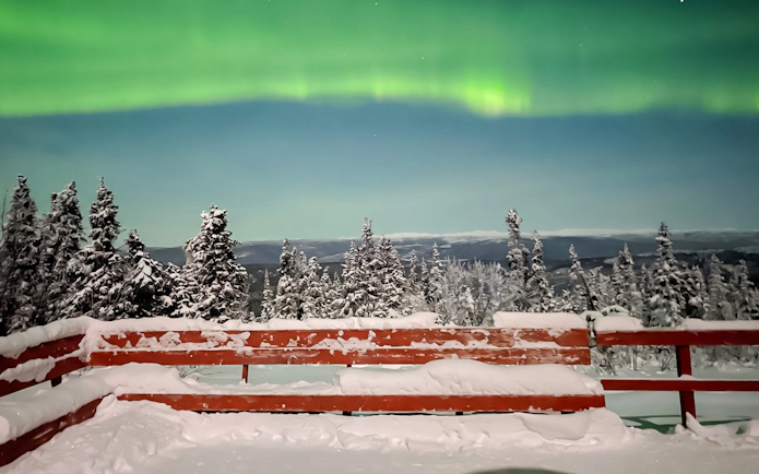 Northern Lights over snowy trees and wooden deck at Aurora Borealis Viewing Lodge, Alaska.