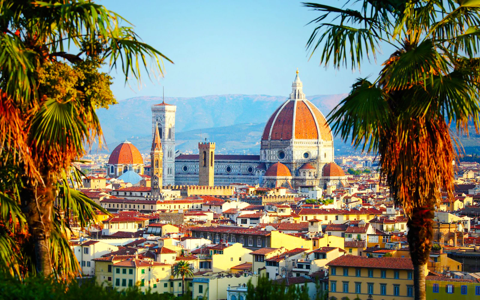 Florence Private Walking Tour (Product 54068)