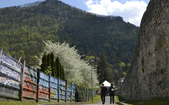 Couple walking along a mural-covered fence and stone wall in Brasov, with a forested hill in the background.