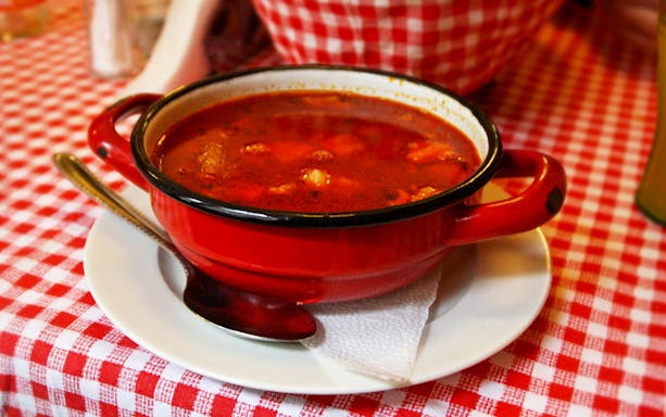 Goulash soup served in a red bowl on a checkered tablecloth during Hungarian ranch tour.