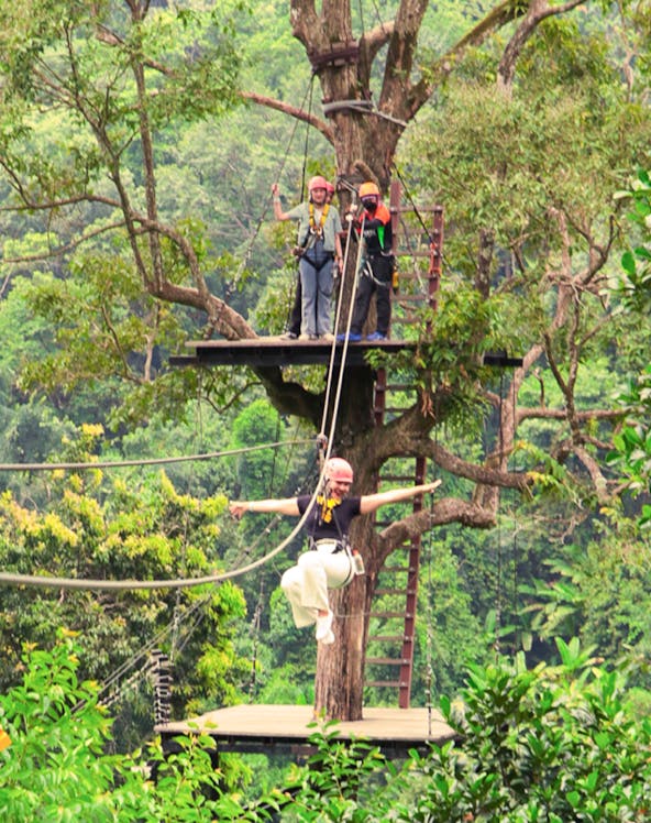 Person ziplining through lush forest at Pongyang Jungle Coaster & Zipline, Chiang Mai.