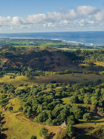 Aerial view of lush green landscape and coastline at Bel Ombre Natural Reserve, Mauritius.