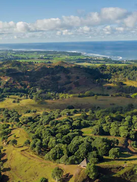 Bel Ombre Nature Reserve