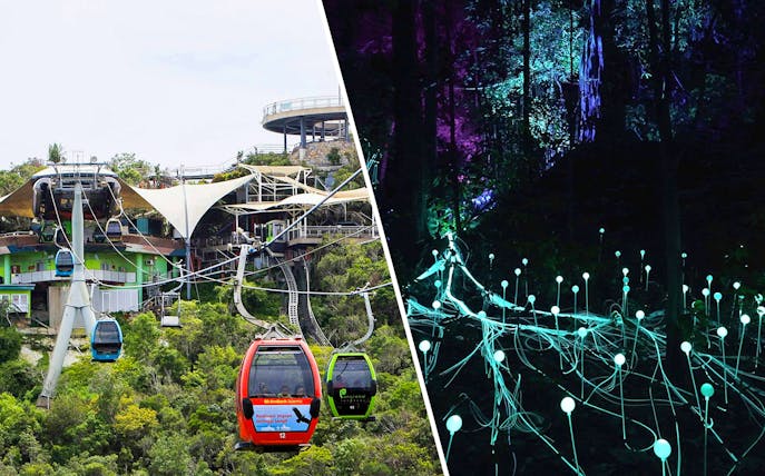 Langkawi SkyCab gondolas and illuminated Dream Forest installation at night.