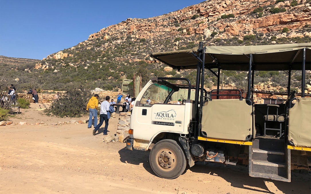 aquila private game reserve: ticket für eine safari bei sonnenuntergang-1