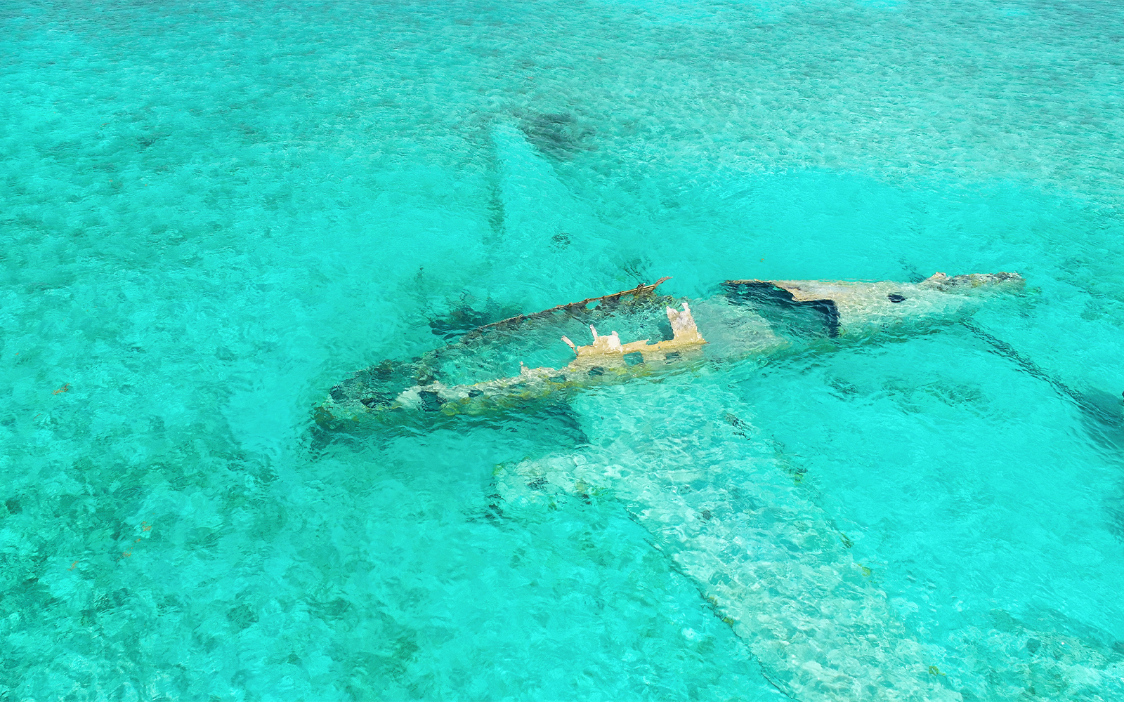 Staniel Cay plane wreck submerged in clear waters near Compass Cay, Exumas, Bahamas.