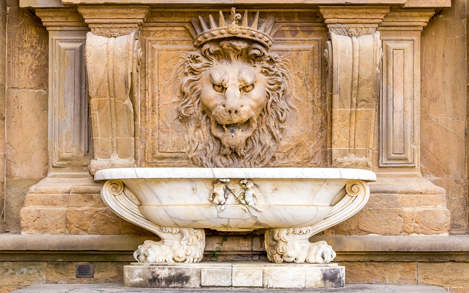 Lion stucco fountain at Palazzo Pitti, Florence.