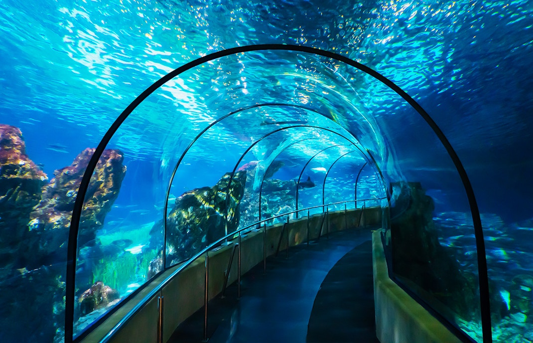 Barcelona Aquarium