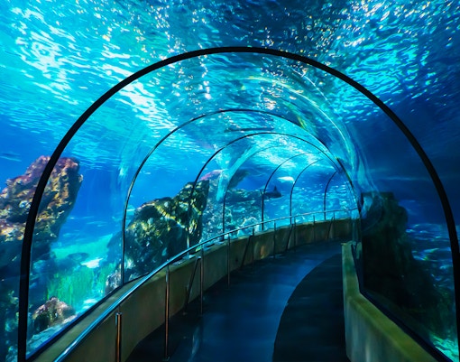 things to do in barcelona-barcelona aquarium