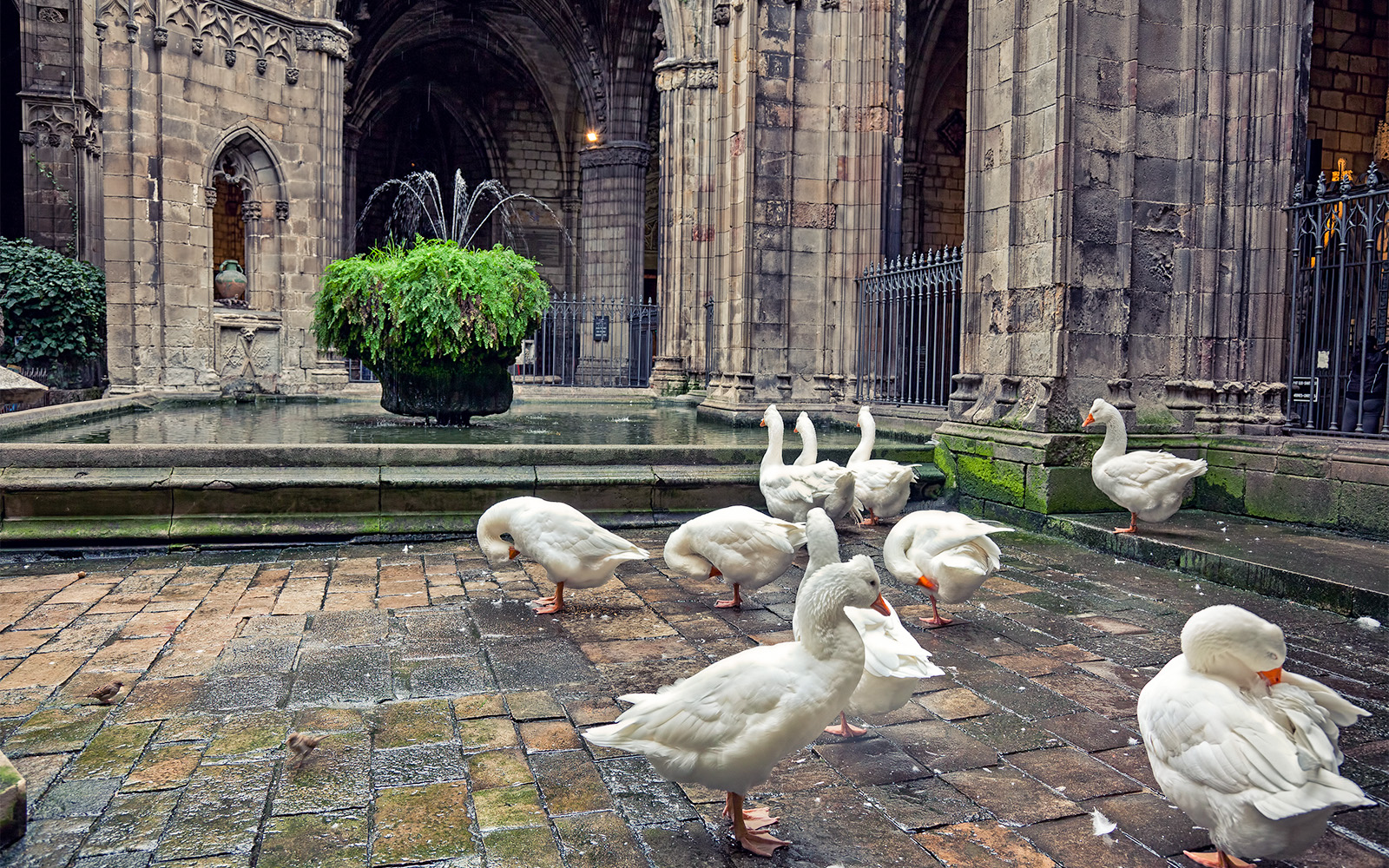 Facts Barcelona Cathedral