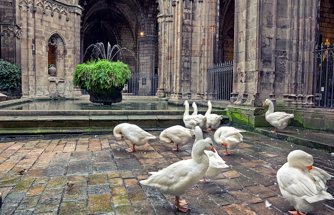 Facts Barcelona Cathedral