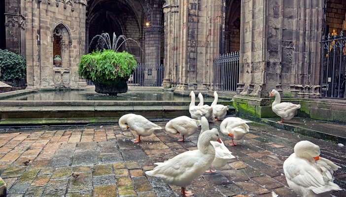 Barcelona Cathedral floor and cloister