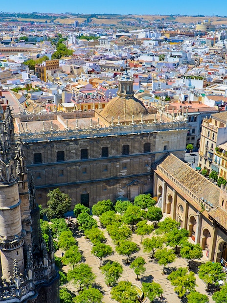 View from La Giralda tower overlooking Seville's historic architecture and cityscape.
