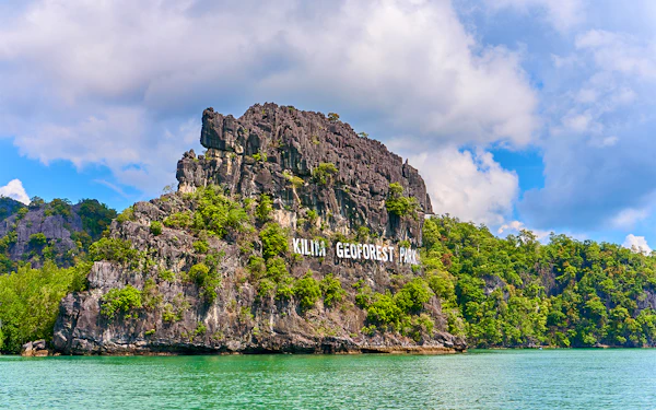 Combo: Langkawi Mangrove Tour + Any 1 Attraction Tickets
