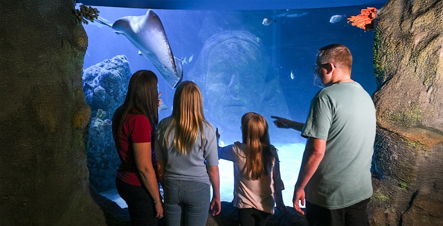 Aquarium SEA LIFE Manchester