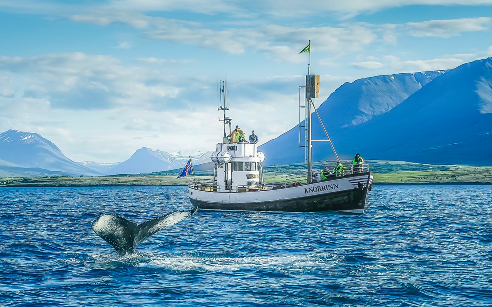 Guests on a boat watching a whale in Eyjafjörður, Iceland.