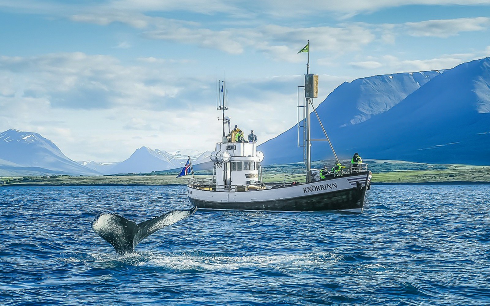 Guests on a boat watching a whale in Eyjafjörður, Iceland.