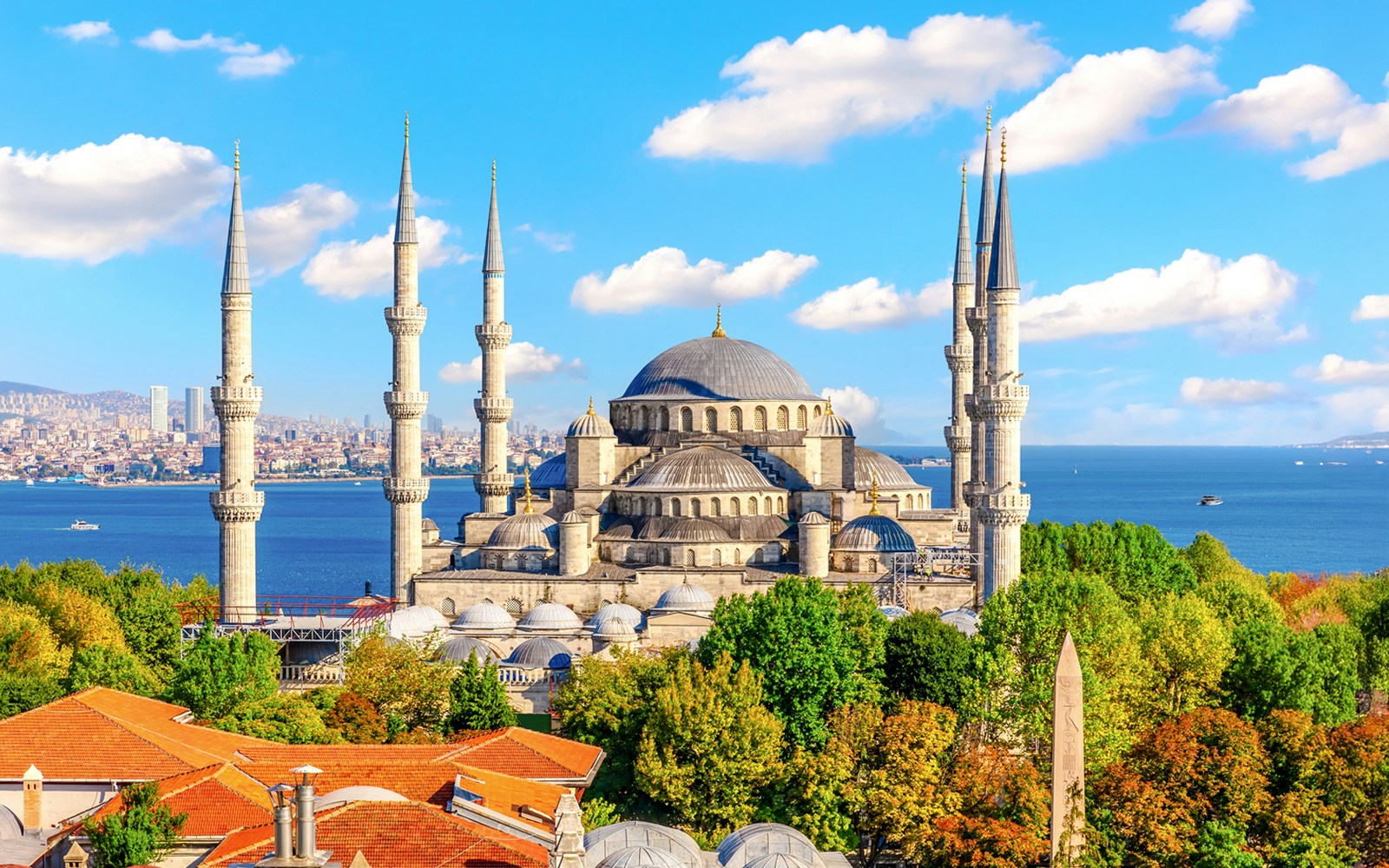 Blue Mosque exterior in Istanbul with domes and minarets against a clear sky.