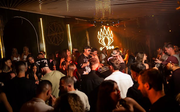 Crowd enjoying a DJ performance at Baloo Ibiza nightclub.