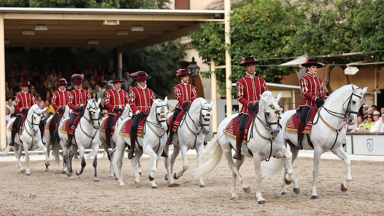 Cordoba Equestrian Show