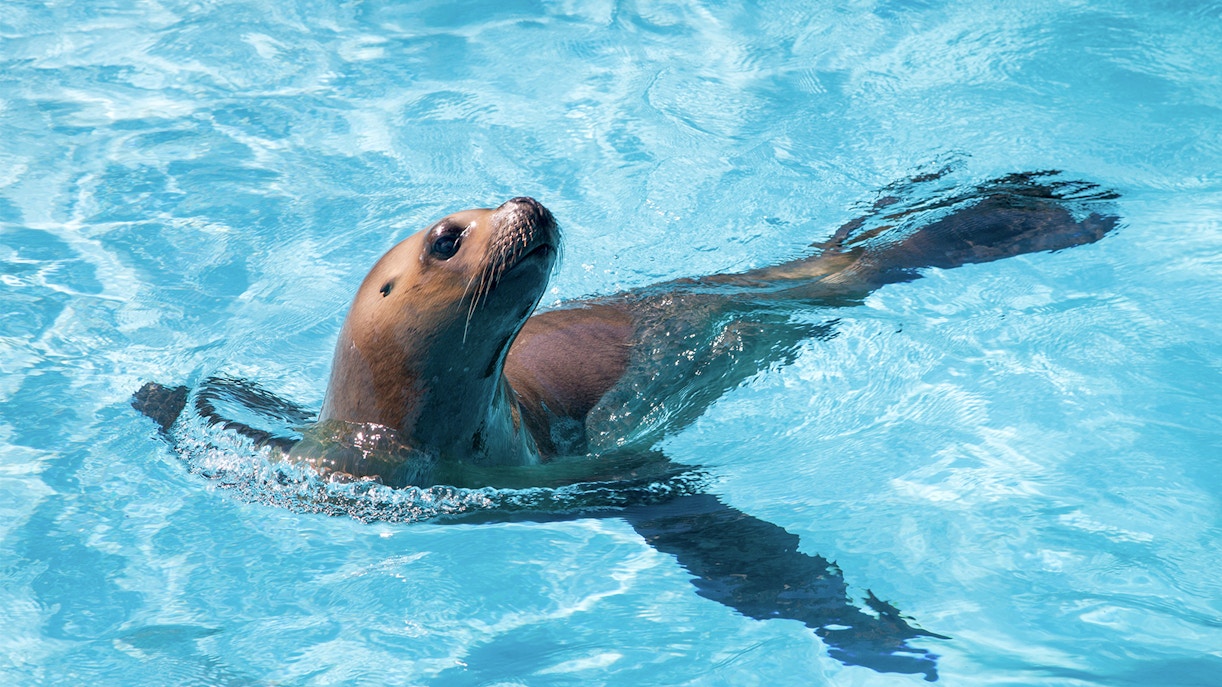 Marineland of Antibes