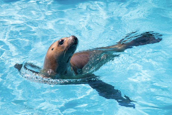 skip-the-line tickets to marineland of antibes-6