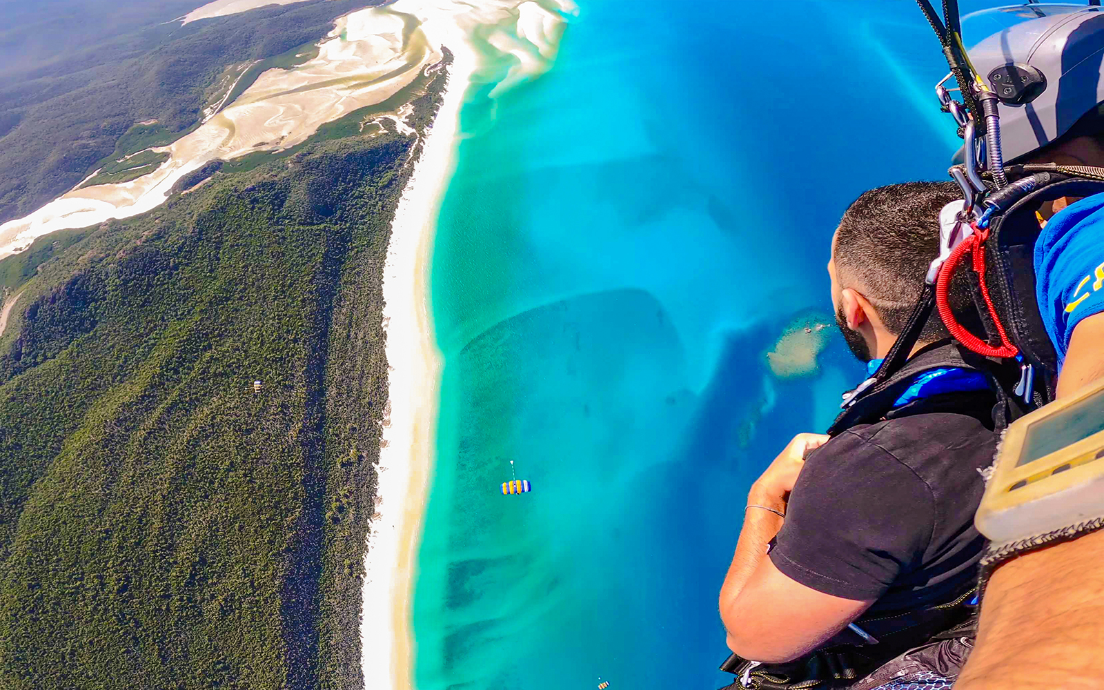 Tandem skydivers over Airlie Beach coastline with ocean and clear skies.