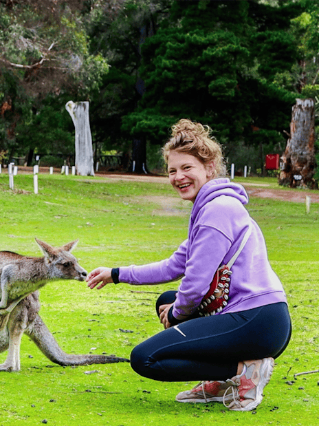 Person feeding kangaroo in Halls Gap park, another taking photo.