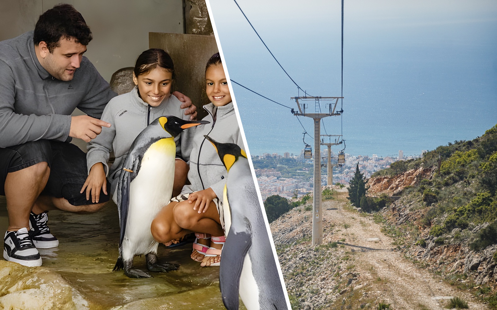 Visitors interacting with penguins at Selwo Marina's Penguin Encounter experience.