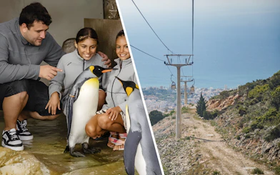 Visitors interacting with penguins at Selwo Marina's Penguin Encounter experience.