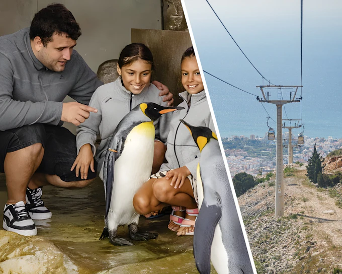 Combo: Selwo Marina + Benalmádena Cable Car
