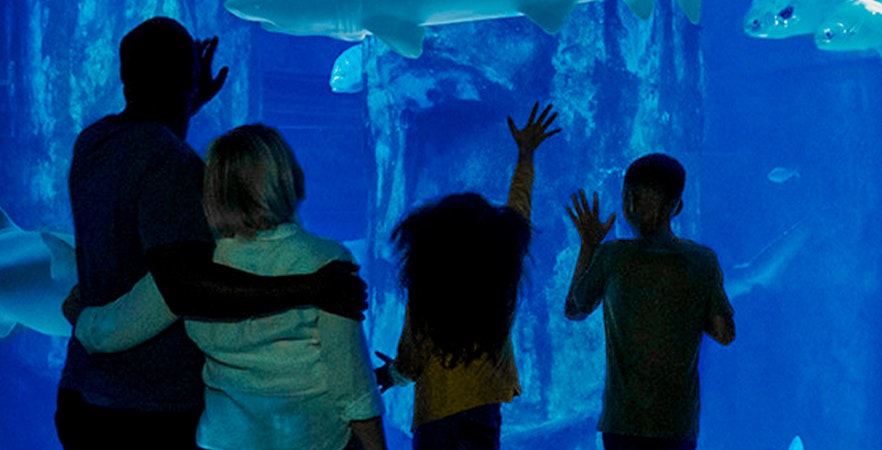 Acvariul SEA LIFE Londra