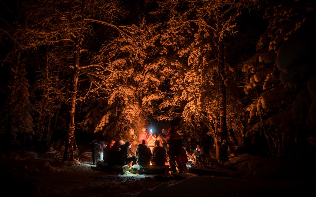 Campfire gathering under Northern Lights in snowy Rovaniemi forest, Finland with warm beverages.