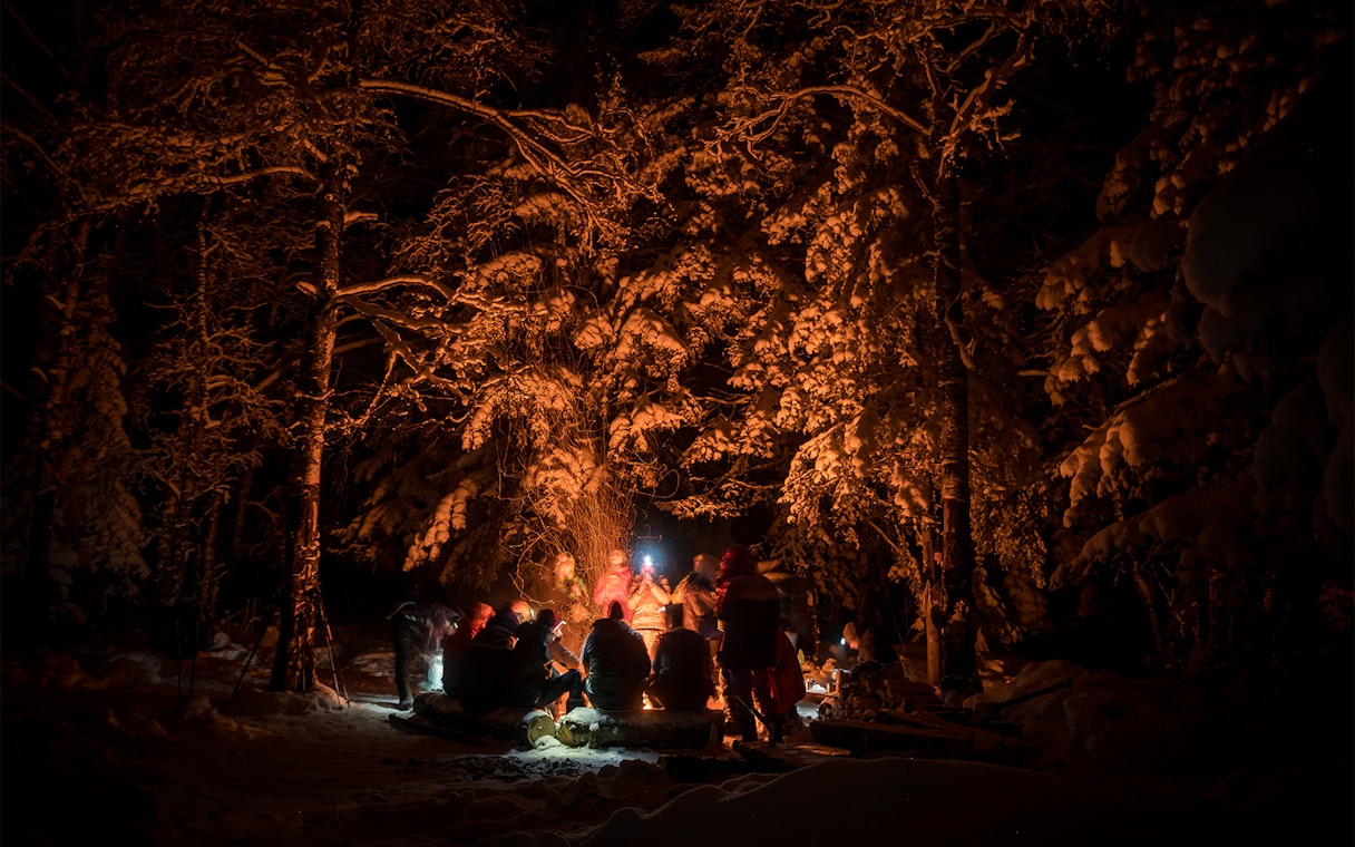 Campfire gathering under Northern Lights in snowy Rovaniemi forest, Finland with warm beverages.