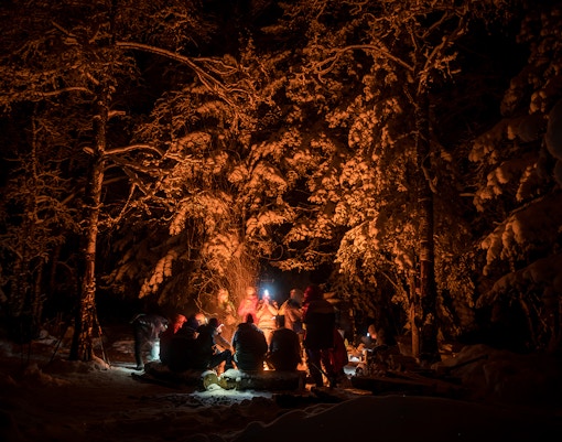 Campfire gathering under Northern Lights in snowy Rovaniemi forest, Finland with warm beverages.