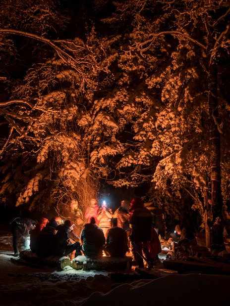Campfire gathering under Northern Lights in snowy Rovaniemi forest, Finland with warm beverages.