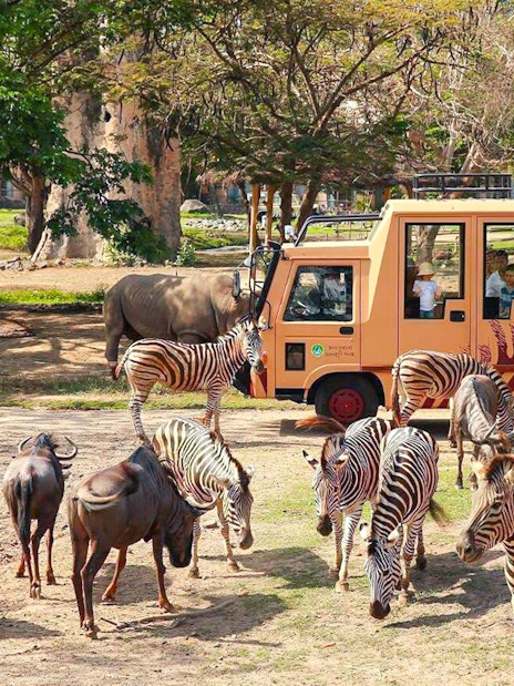 Safari tram with tourists viewing zebras and wildebeests at Bali Safari and Marine Park.