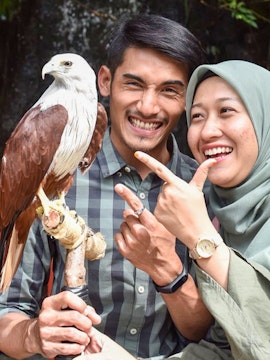Couple smiling with a Brahminy Kite at Langkawi Wildlife Park.