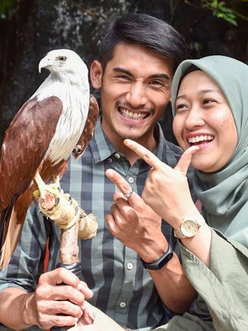 Couple smiling with a Brahminy Kite at Langkawi Wildlife Park.