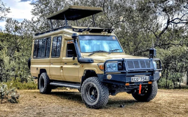 Private Half-Day Nairobi National Park Game Drive Safari with Hotel Transfers