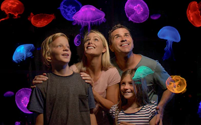 Family observing colorful jellyfish at Jellyfish Kingdom, Sea Life Sunshine Coast.