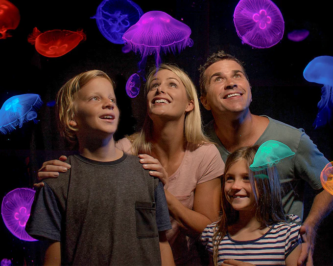 SEA LIFE Sunshine Coast Aquarium Tickets